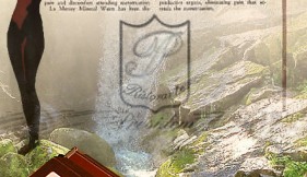 La "Carta delle Acque" del President