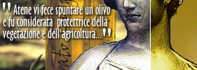 L'Olivo: Mito, Leggenda, Letteratura