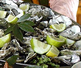 Afrodite ~ Gli Antipasti