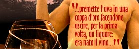 Dionisio ~ I Vini