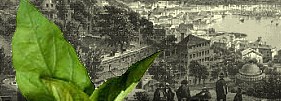 Genova e le Spezie
